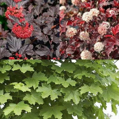 Комплект ОСЕННИЙ КОСТЕР в Ижевске