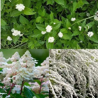 Комплект СКАНДИНАВСКИЙ СТИЛЬ в Ижевске