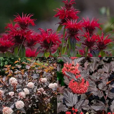 Комплект ОГНЕННЫЙ МИКС в Ижевске