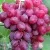 Виноград КИШМИШ ВЕЛЕС в Ижевске