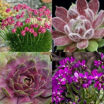 Комплект МИНИ САД в Ижевске